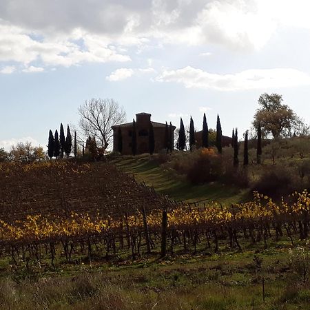 Podere Pievina Delle Corti - Dimora Di Campagna 시나룬가 외부 사진