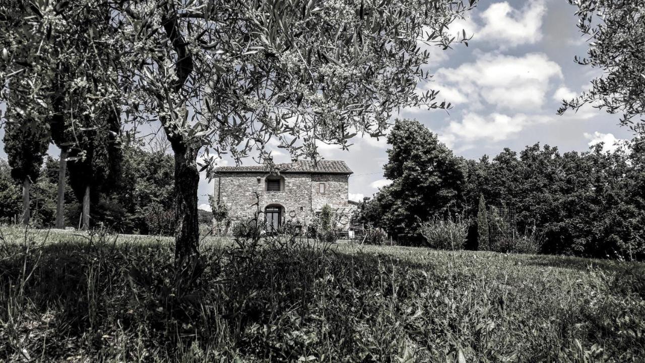 Podere Pievina Delle Corti - Dimora Di Campagna 시나룬가 외부 사진