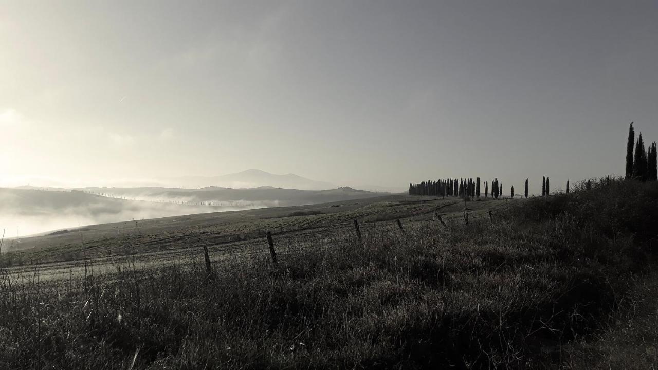 Podere Pievina Delle Corti - Dimora Di Campagna 시나룬가 외부 사진