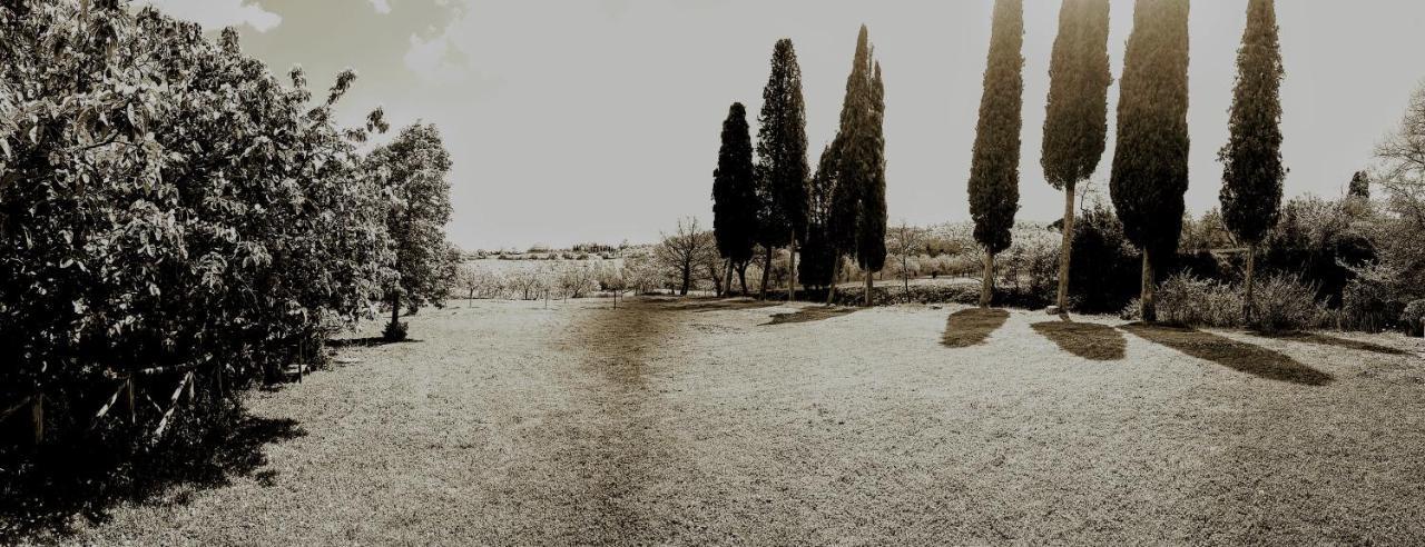 Podere Pievina Delle Corti - Dimora Di Campagna 시나룬가 외부 사진