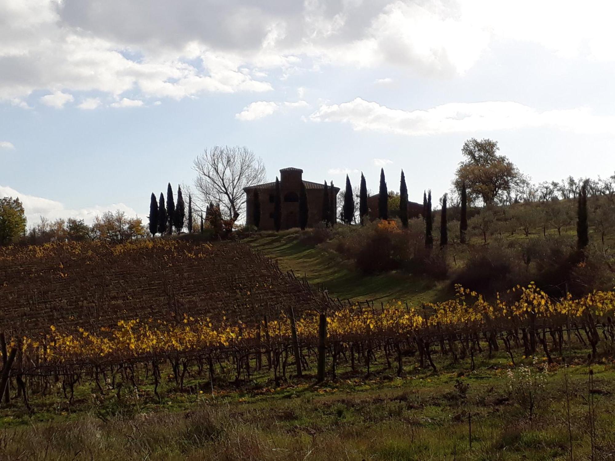 Podere Pievina Delle Corti - Dimora Di Campagna 시나룬가 외부 사진