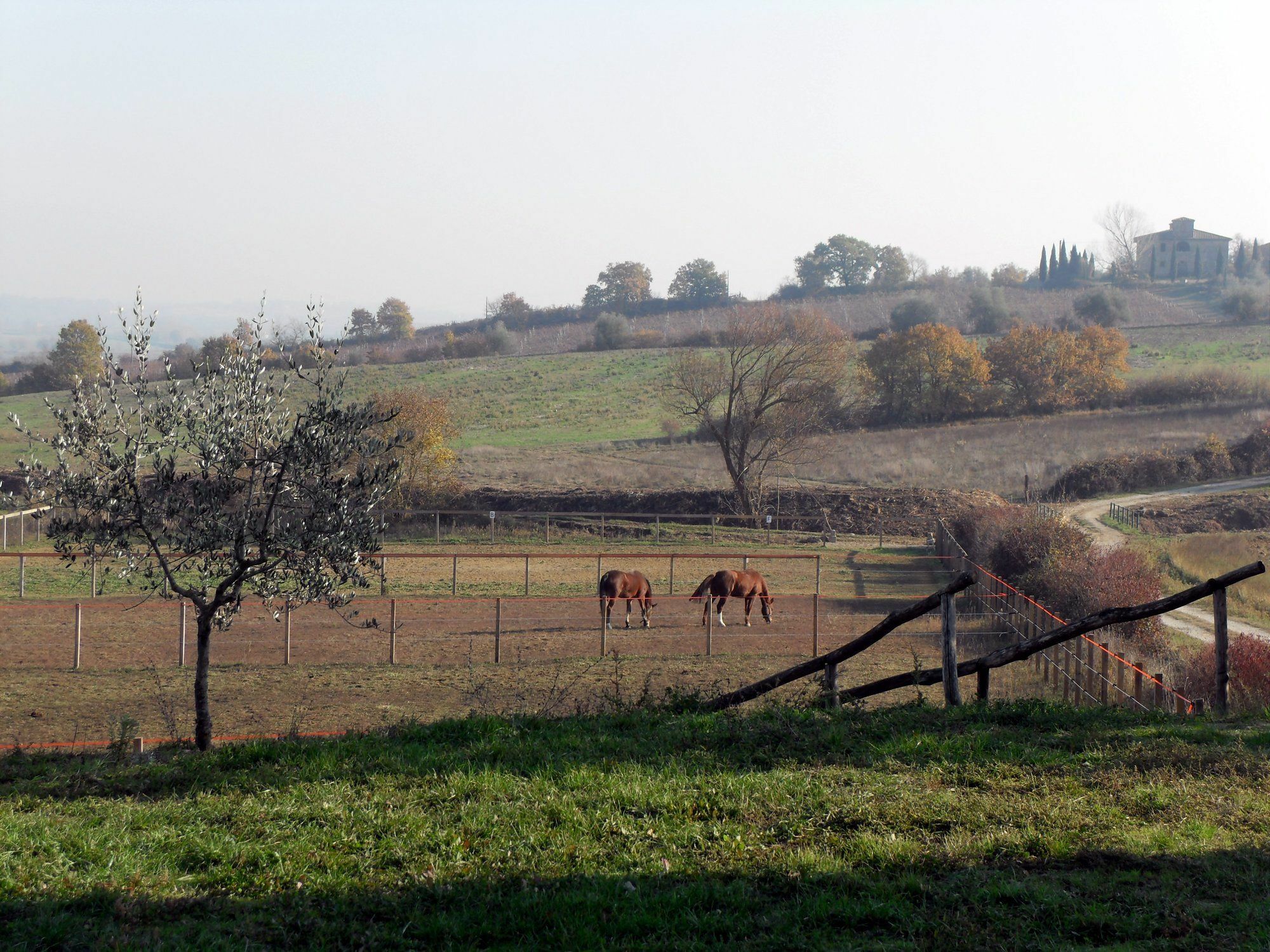 Podere Pievina Delle Corti - Dimora Di Campagna 시나룬가 외부 사진