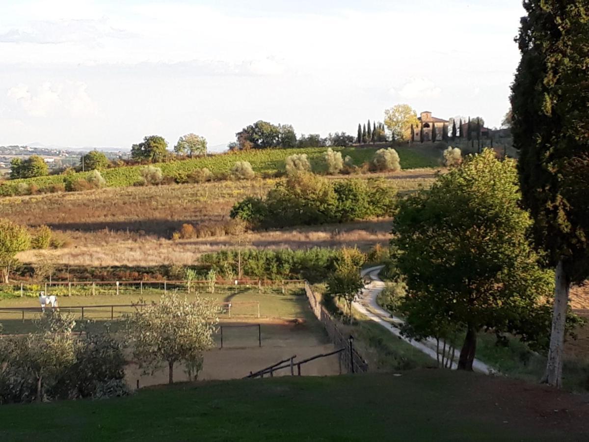 Podere Pievina Delle Corti - Dimora Di Campagna 시나룬가 외부 사진